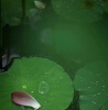 管理员